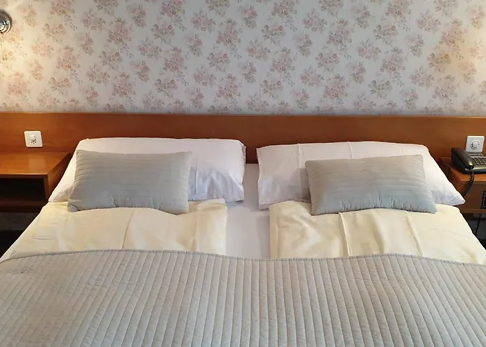 Lejlighed Bellevue-baeren